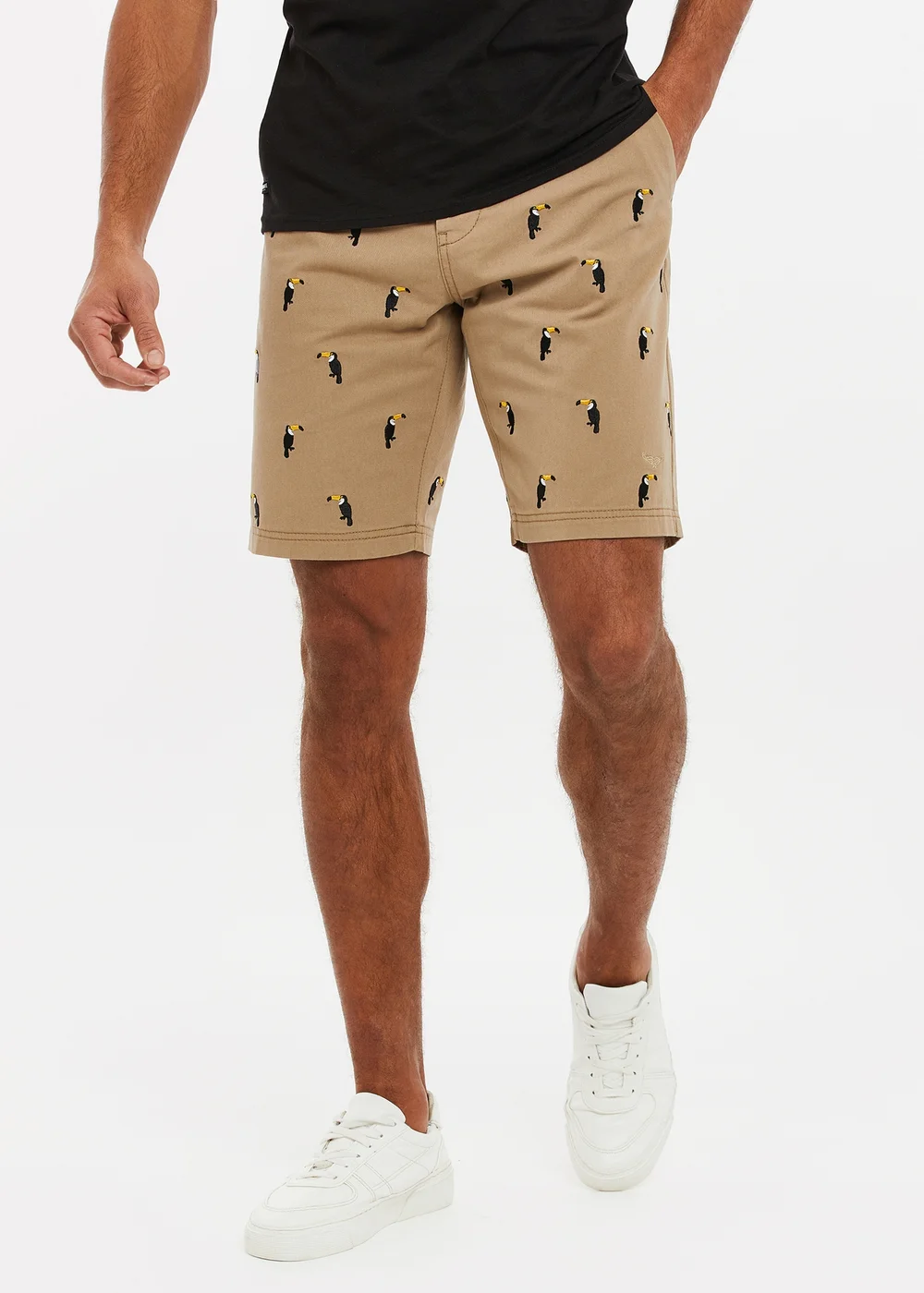 Threadbare Stone Cotton Embroidered Toucan Chino Shorts - 30 W Image 1