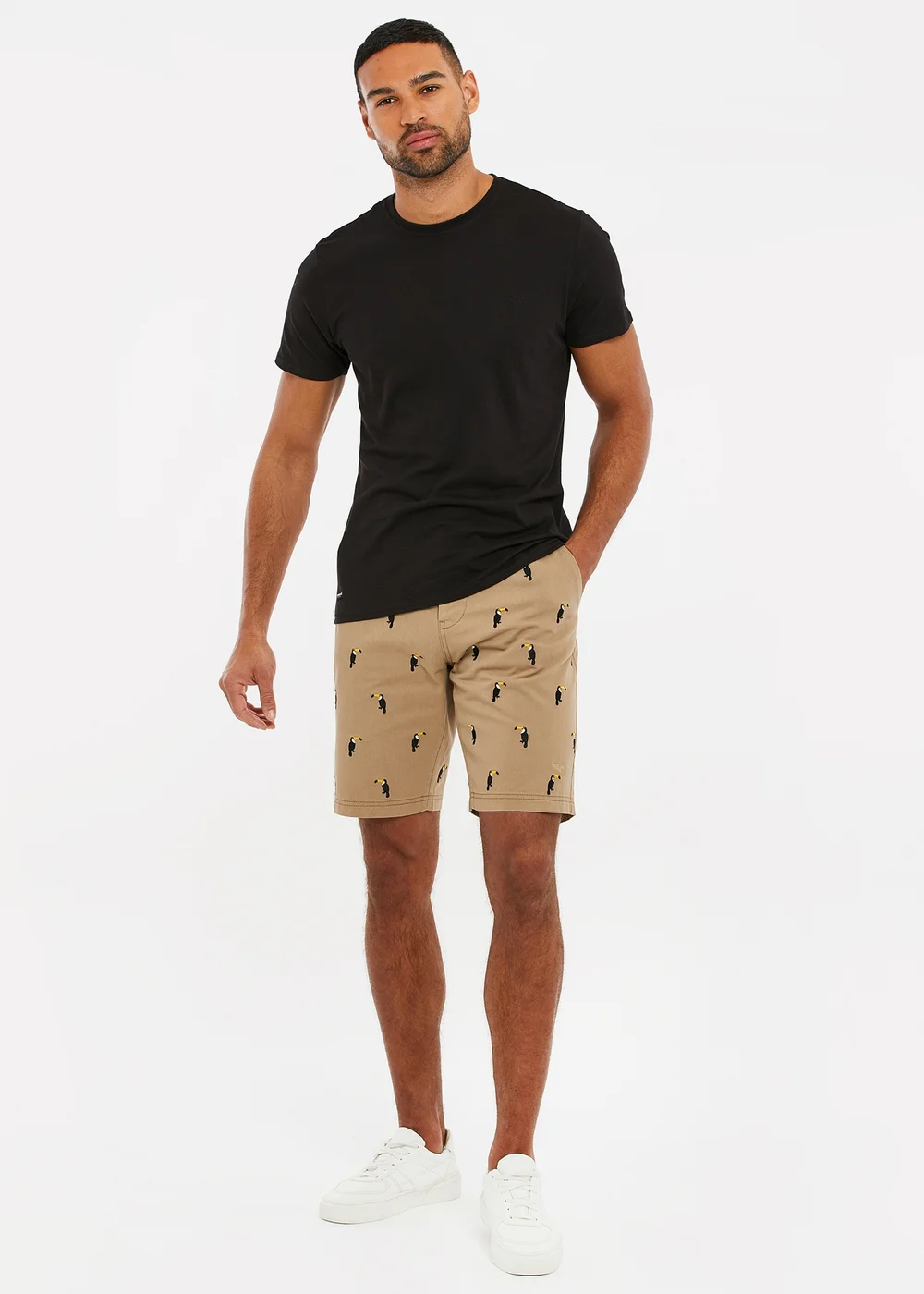 Threadbare Stone Cotton Embroidered Toucan Chino Shorts - 30 W Image 4