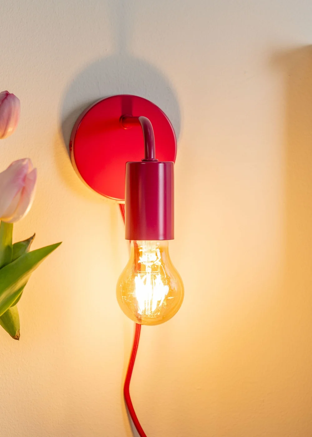 ValueLights Jordy Raspberry Colour Pop Plug In Wall Light (13cm x 14cm x 10cm) - One Size Image 3