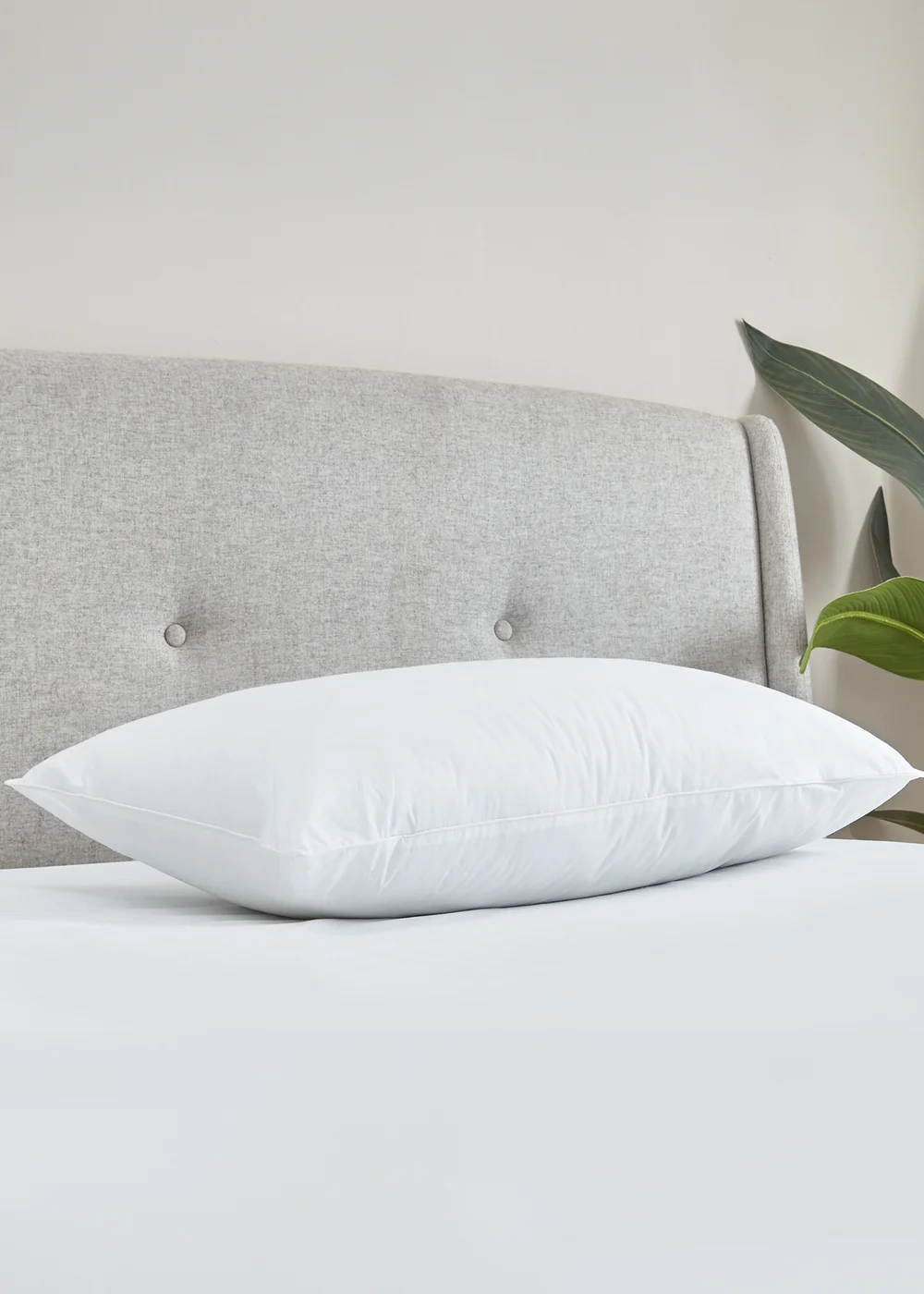 Catherine Lansfield Cotton Spring Pillow (48x74cm) - One Size Image 2