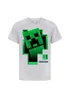 Minecraft Boys Grey Creeper Inside T-Shirt (7-15yrs) - Age 11-12 Years Image 1