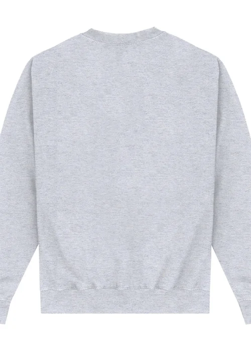 University Of Florida Grey UF Sweatshirt - S Image 2
