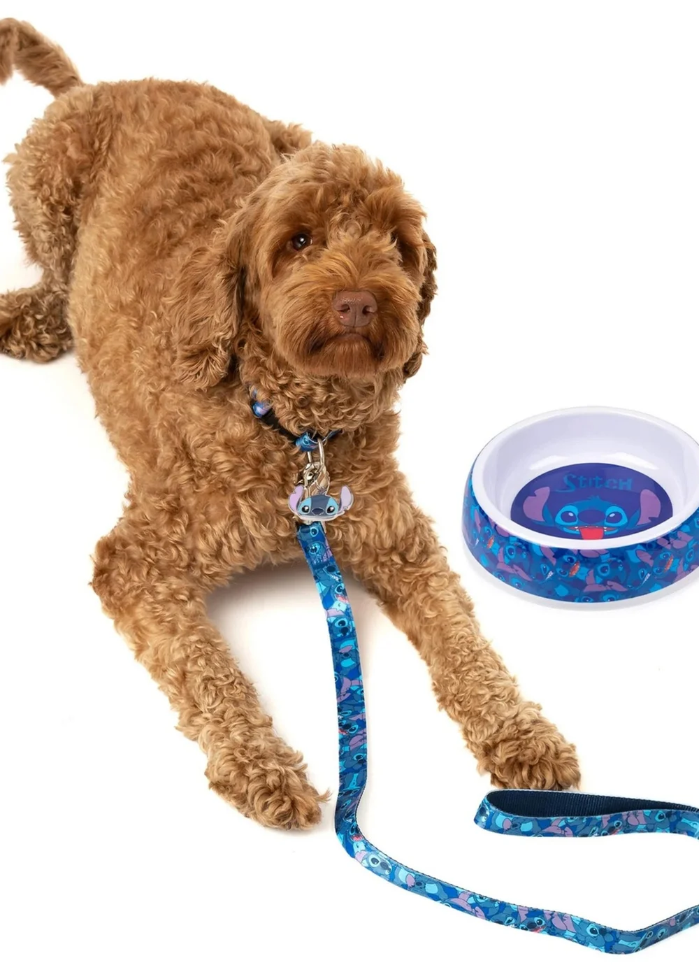 Disney Stitch Blue Dog Collar Set (Pack of 4) - Small Image 5