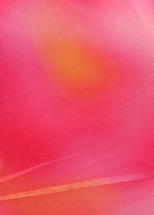 Quiz Pink Mesh Ombre Print Crop Top - 4 Image 5