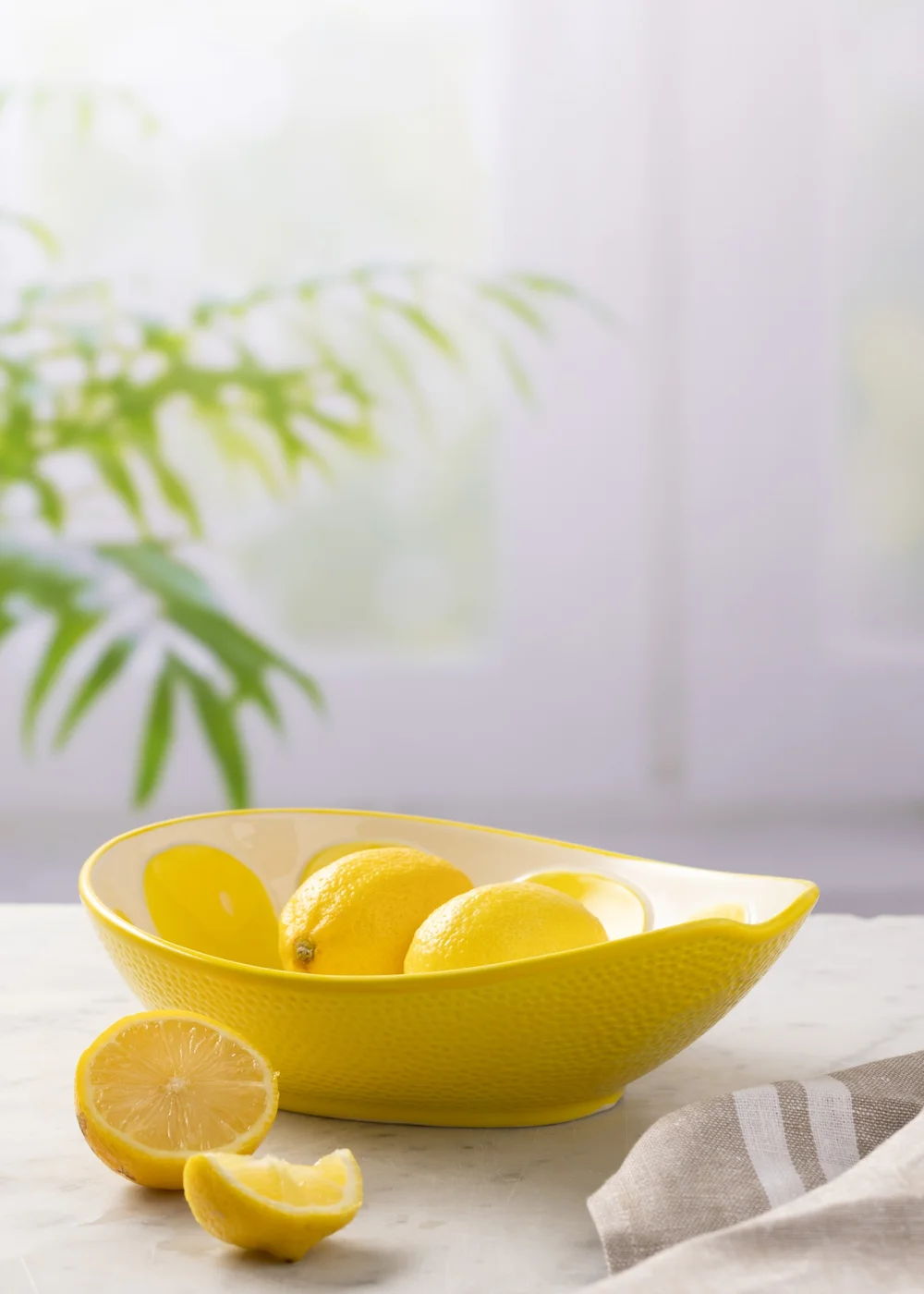 Typhoon World Foods Lemon Oval Bowl (22cm) - One Size Image 2