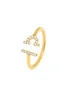 Say It With Yellow Gold Virgo Ring with CZ Stones - Pisces Image 1
