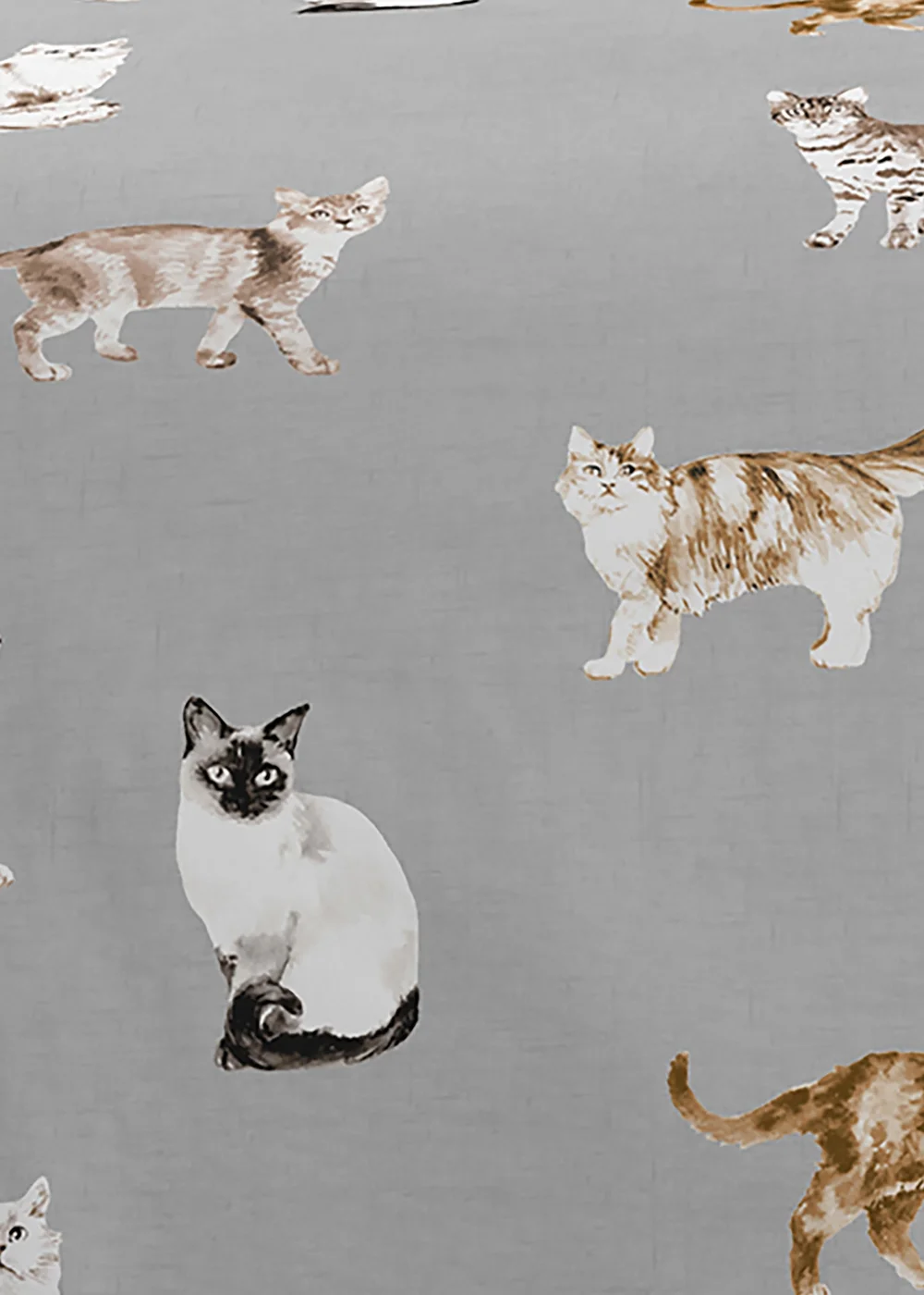 Fusion Cats Grey Duvet Cover Set - Single Image 3