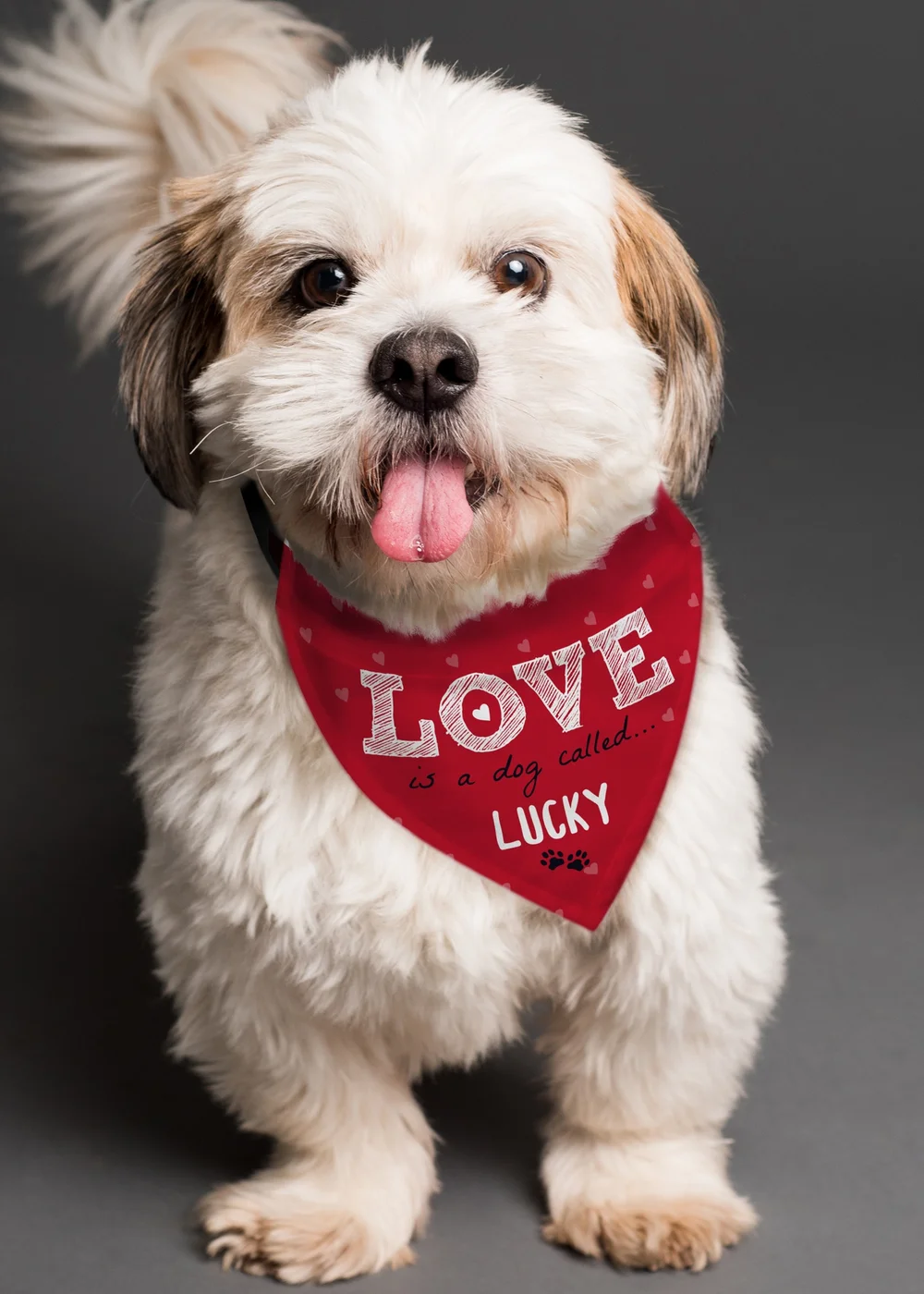 Personalised Memento Company Red Love is... Dog Bandana - One Size Image 3