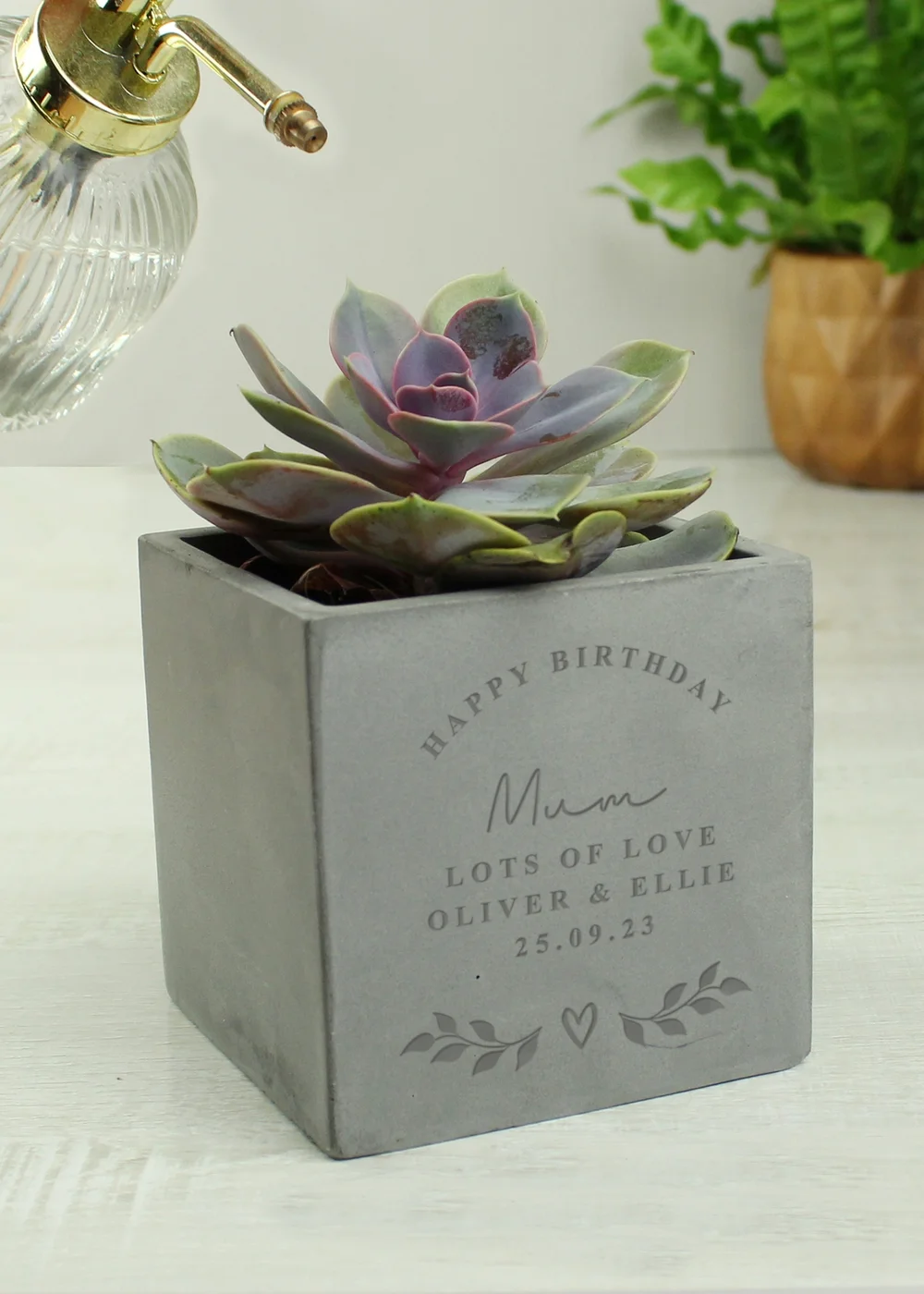 Personalised Memento Company Stone Free Text Concrete Plant Pot - One Size Image 3