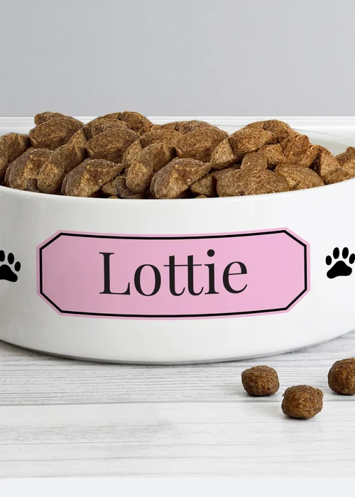 Personalised Memento Company Pink Plaque 14cm Medium Pet Bowl - One Size Image 2