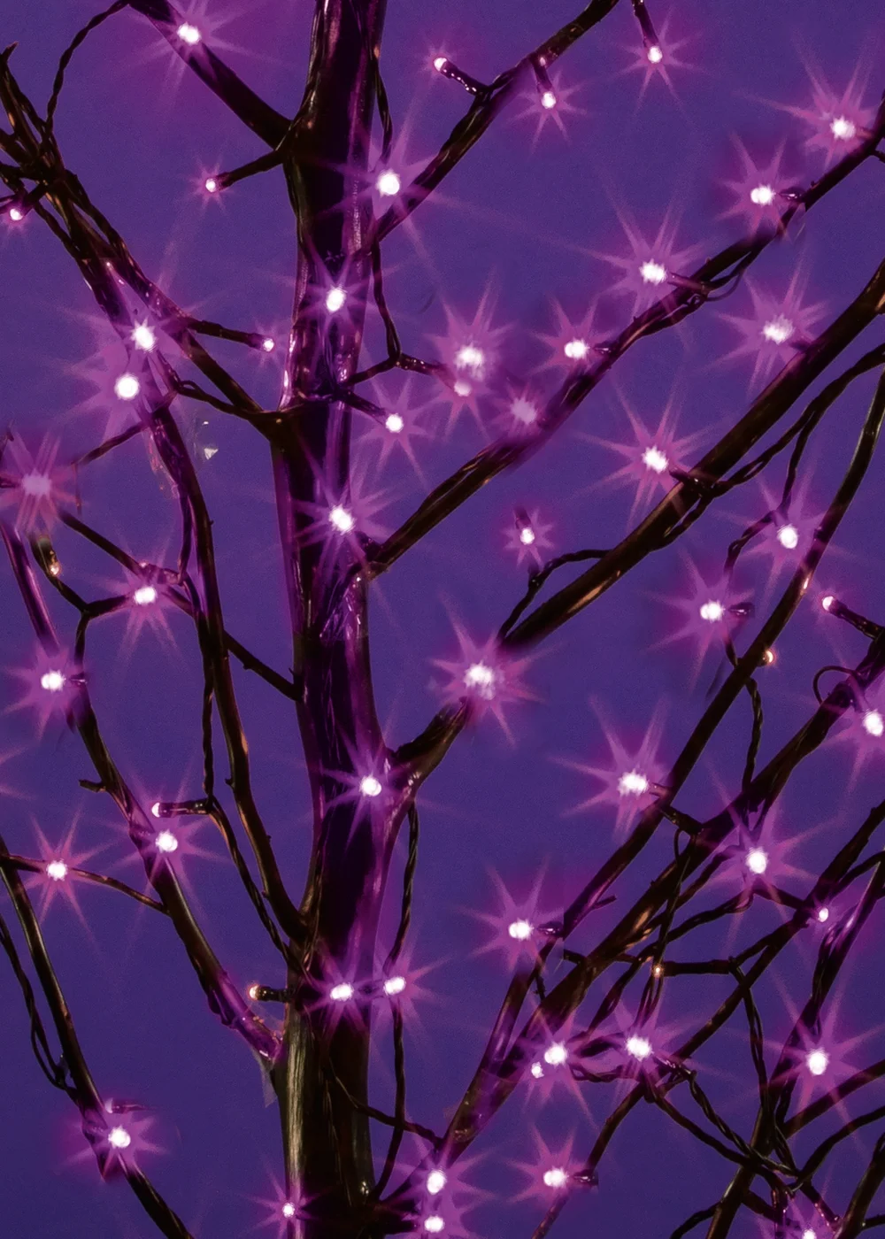 Premier Decorations 200 Purple LED Supabrights - No Size Image 2