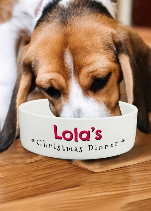 Personalised Memento Company White Christmas Dinner 14cm Medium Pet Bowl - One Size Image 3