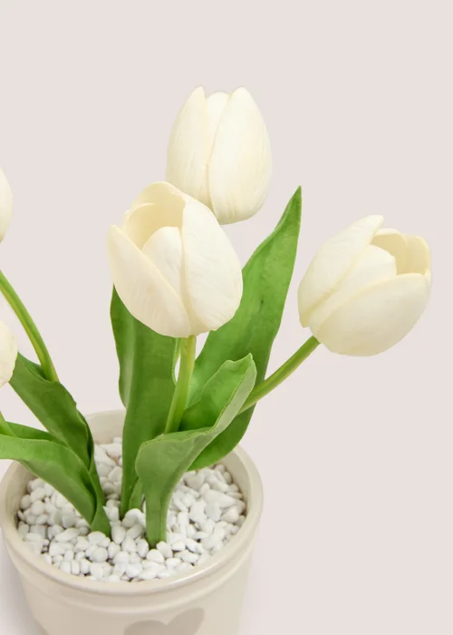 Cream Tulips In A Heart Vase Image 2