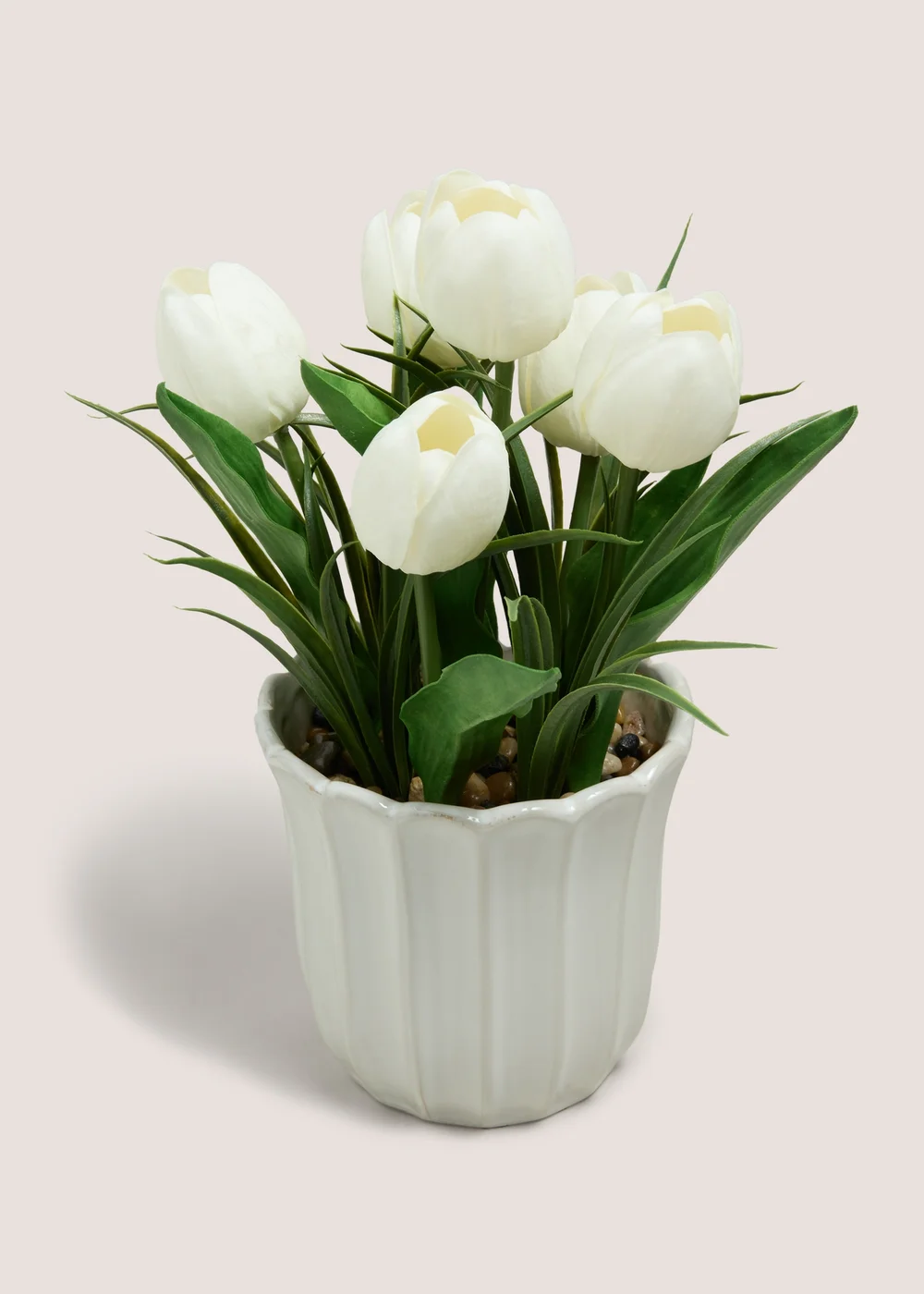 Tulip In Scallop Vase Image 1