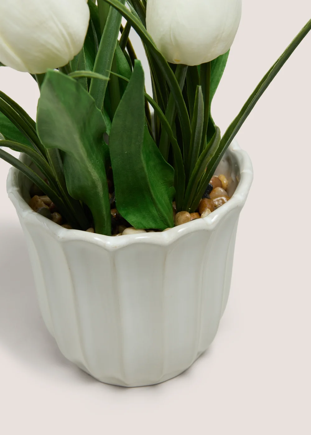 Tulip In Scallop Vase Image 2