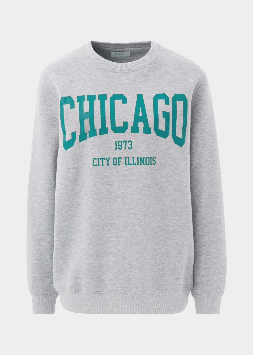 Grey Chicago Sweatshirt - S Image 4