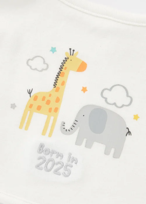 Baby Cream Born In 2025 Bib - One Size Image 2