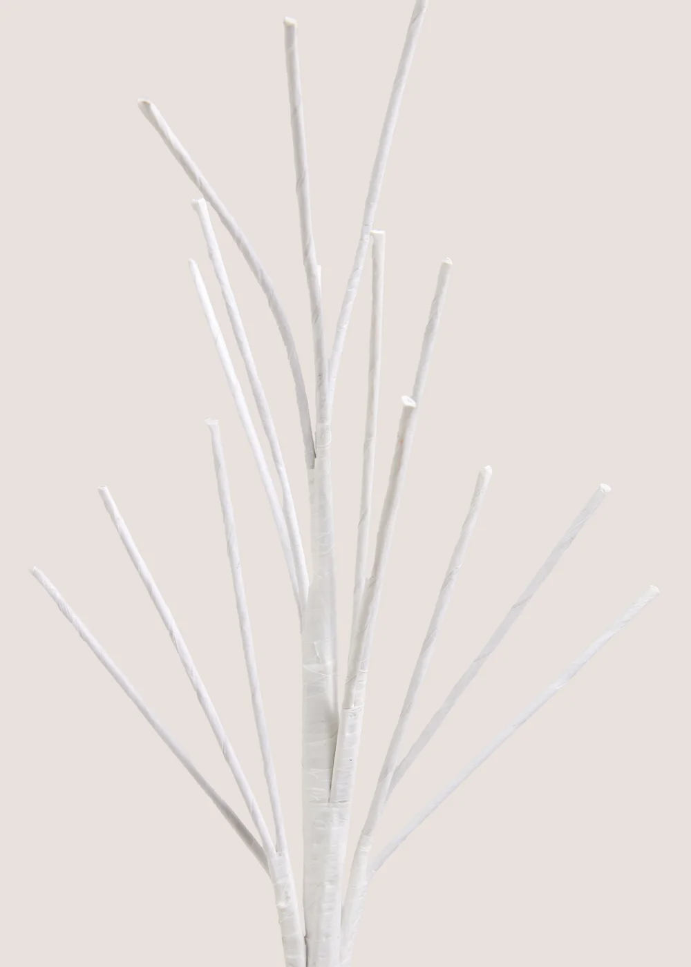 White Twig Tree Image 2