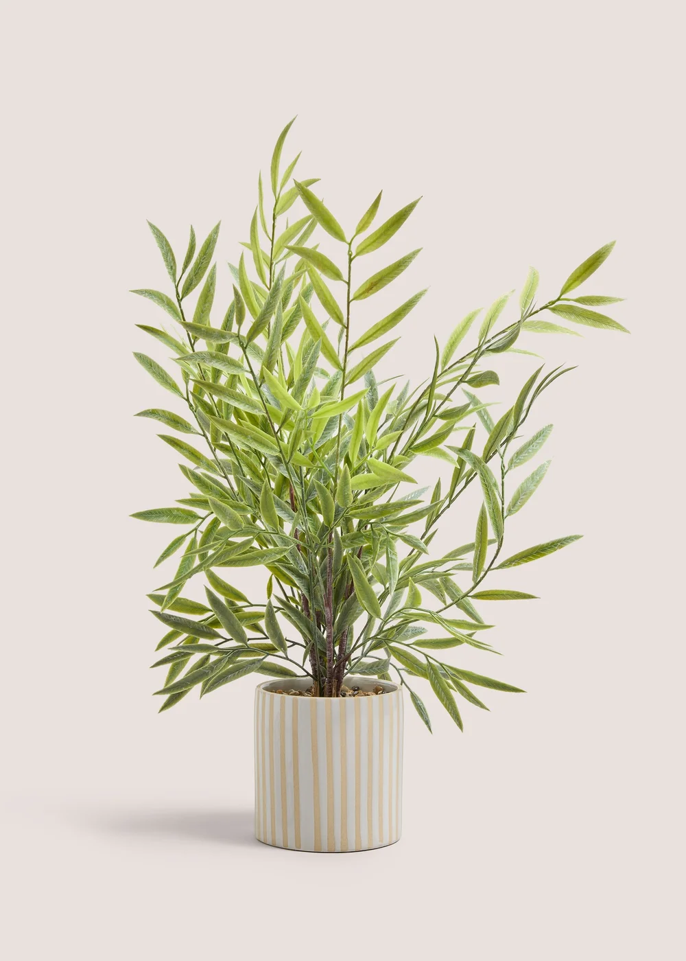 Bamboo In Ceramic Ribbed Pot Image 1