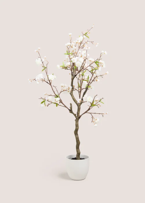 Cherry Blossom Tree Image 1