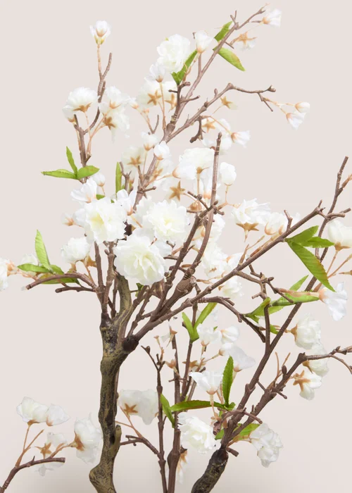Cherry Blossom Tree Image 2