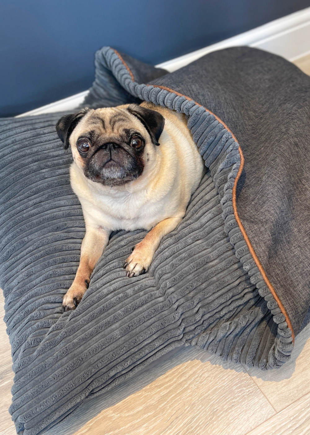 rucomfy Jumbo Cord Burrower Medium Slate Grey Pet Bed - One Size Image 1