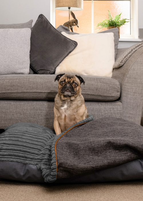 rucomfy Jumbo Cord Burrower Medium Slate Grey Pet Bed - One Size Image 2