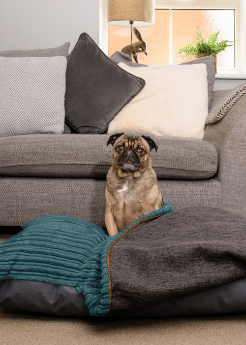 rucomfy Jumbo Cord Burrower Medium Teal Pet Bed - One Size Image 1