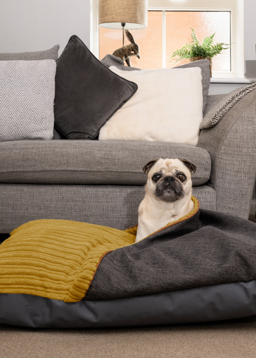 rucomfy Jumbo Cord Burrower Medium Mustard Pet Bed - One Size Image 1