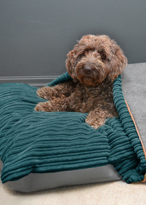 rucomfy Jumbo Cord Burrower Large Teal Pet Bed - One Size Image 1