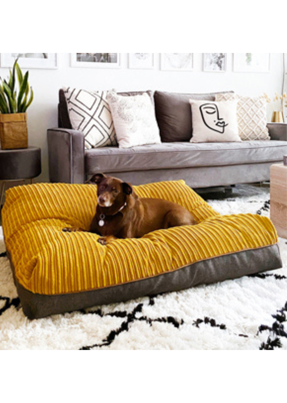 rucomfy Jumbo Cord Flip-It Large Mustard Pet Bed - One Size Image 1