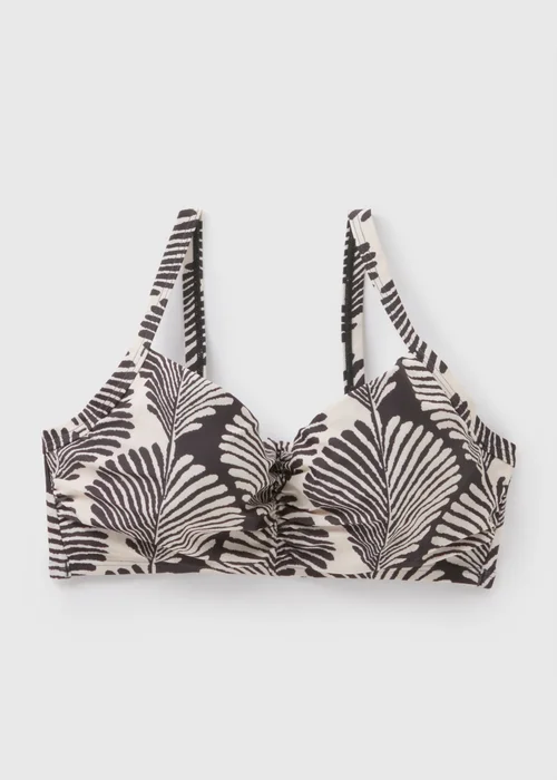 DD+ Black Mono Shell Print Cupped Crop Bikini Top - 32DD Image 2