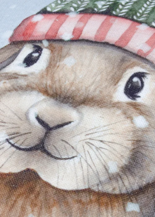 Evans Lichfield Christmas Rabbit Filled Cushion (45cm x 45cm) - One Size Image 4