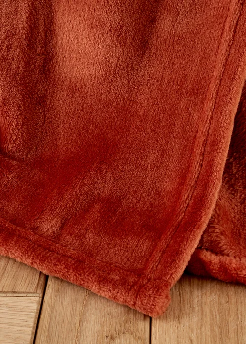 Catherine Lansfield Extra Large Raschel Velvet Touch Blanket Throw (200x240cm) - One Size Image 3