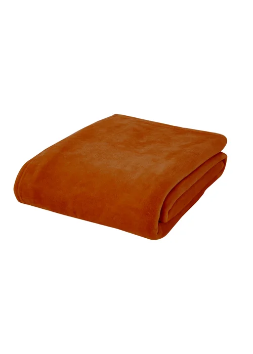 Catherine Lansfield Extra Large Raschel Velvet Touch Blanket Throw (200x240cm) - One Size Image 4