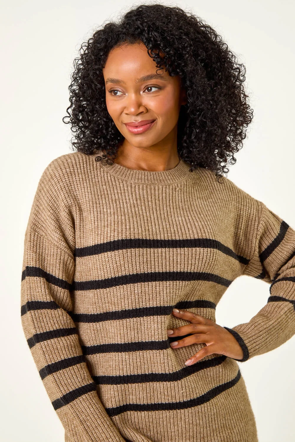 Roman Stone Petite Striped Knit Jumper - 8 Image 4