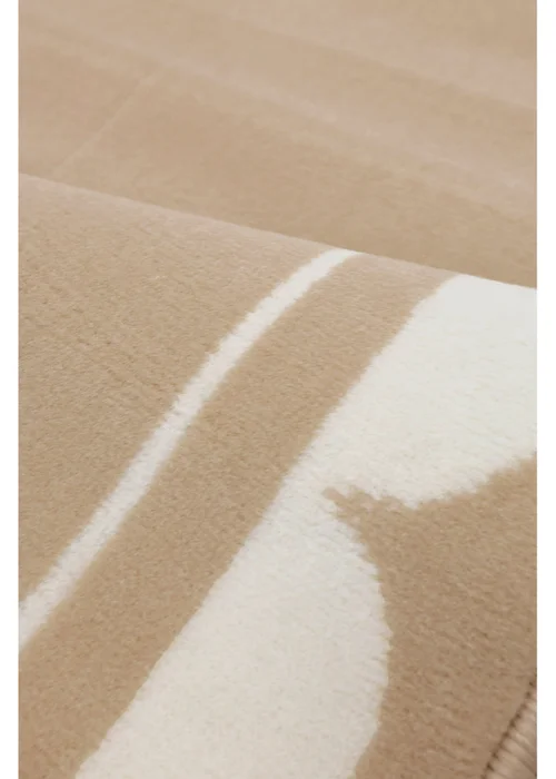 Homemaker Scallop Champagne Rug - 120 x 170 Image 3