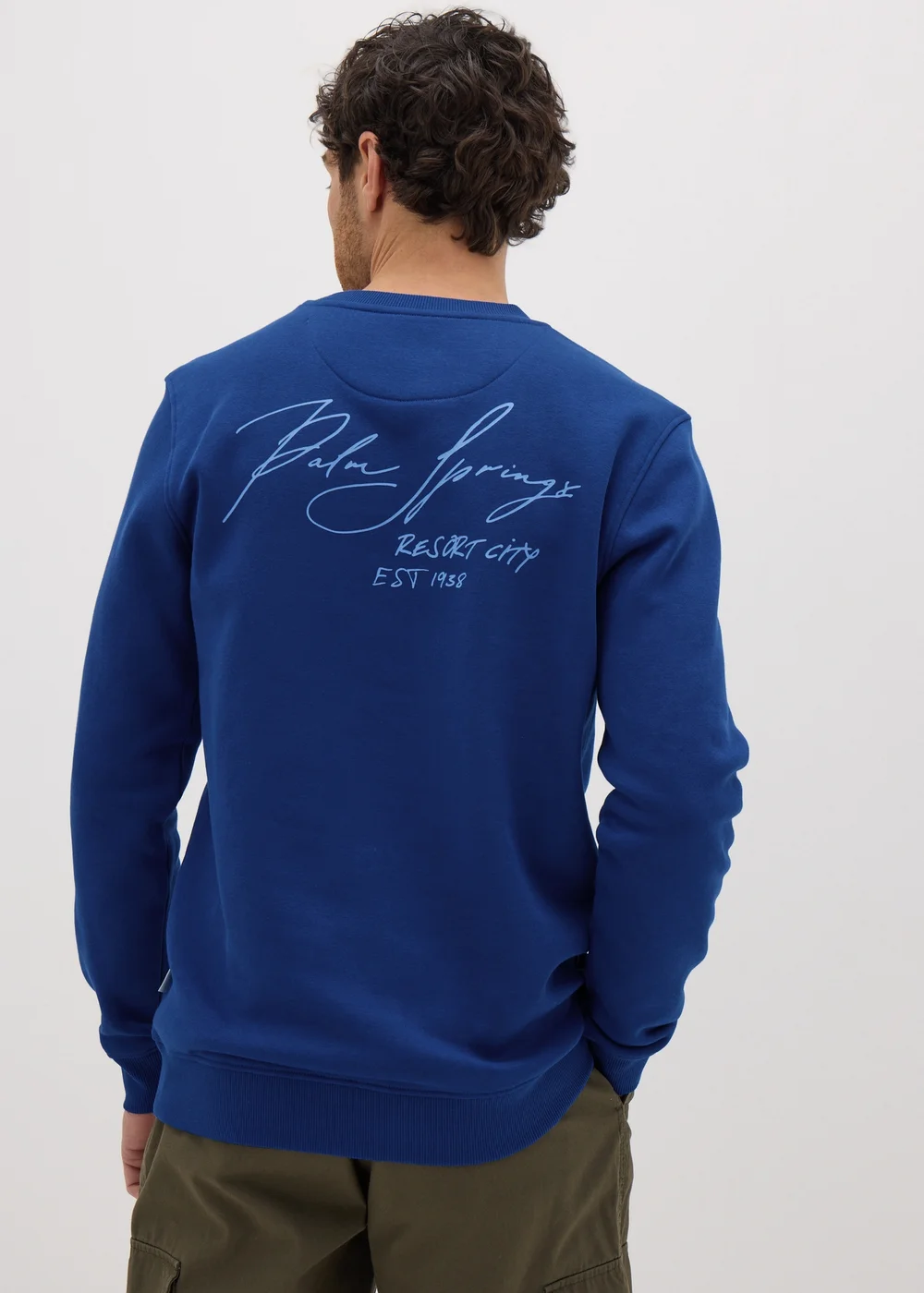 Blue Palm Springs Sweatshirt - S Image 2