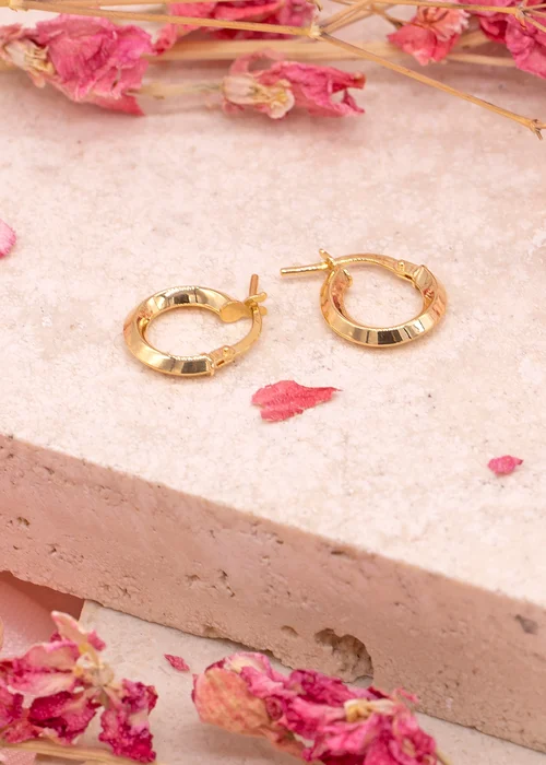 Golden Moments 9ct Yellow Gold Polished Hoop Creole Earrings - One Size Image 2