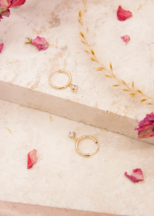Golden Moments 9ct Yellow Gold Round White CZ Hoop Drop Earrings - One Size Image 2
