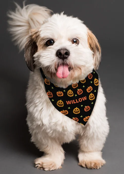 Personalised Memento Company Black Pumpkin Patch Dog Bandana - One Size Image 4