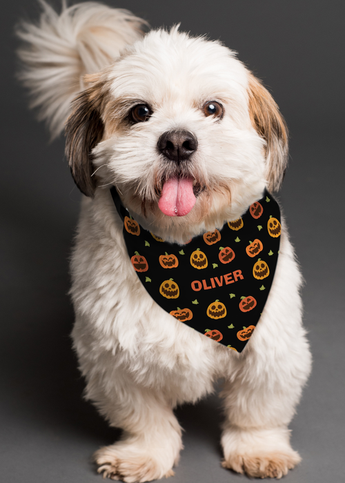 Personalised Memento Company Black Pumpkin Patch Dog Bandana - One Size Image 2