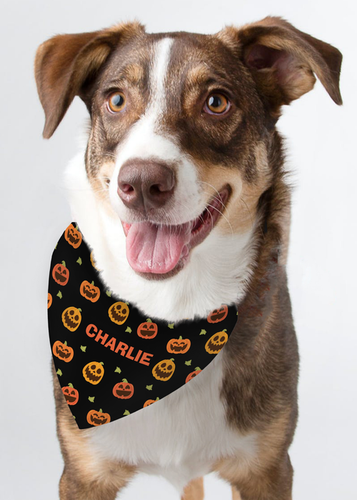 Personalised Memento Company Black Pumpkin Patch Dog Bandana - One Size Image 3