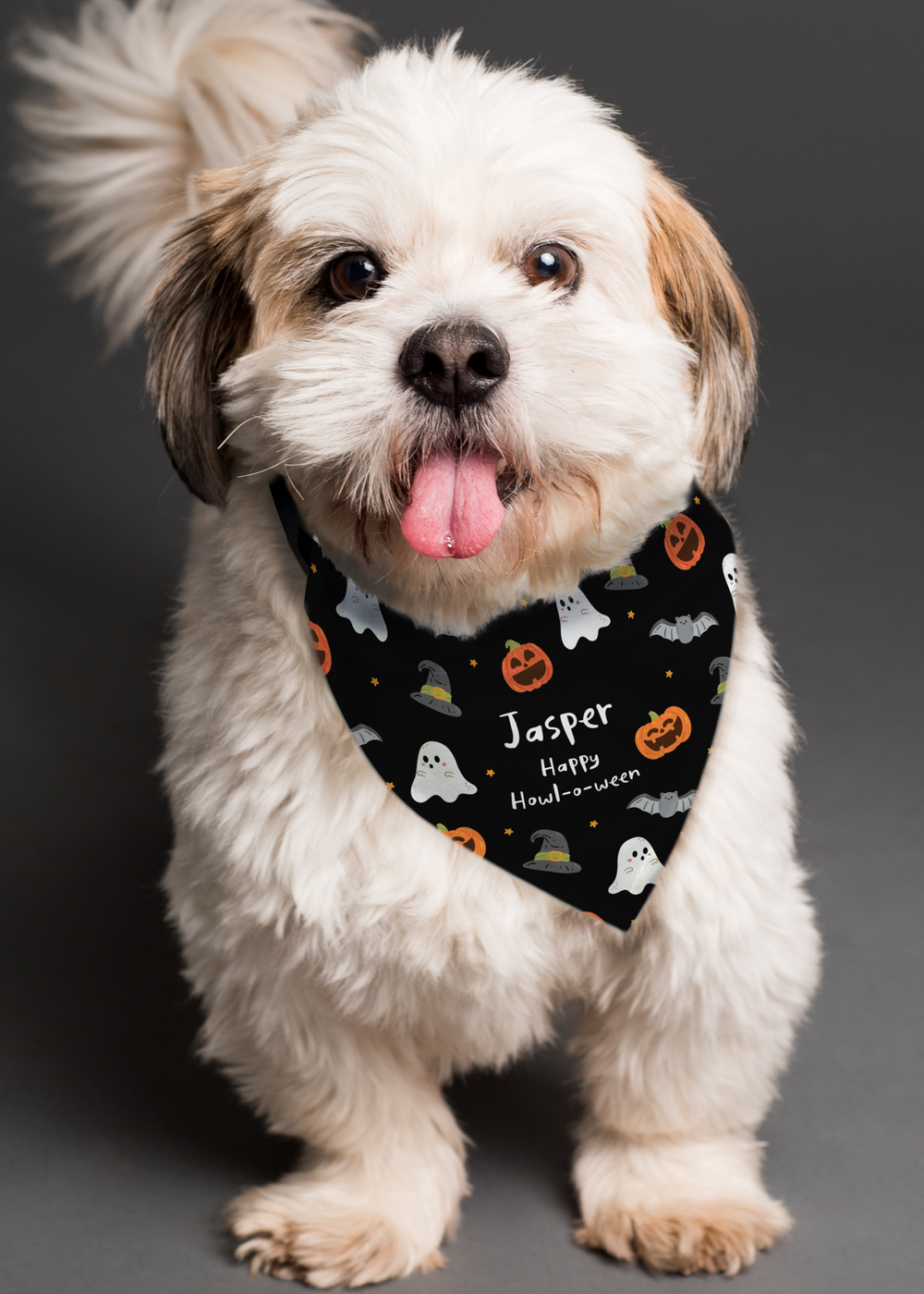 Personalised Memento Company Black Halloween Dog Bandana - One Size Image 4