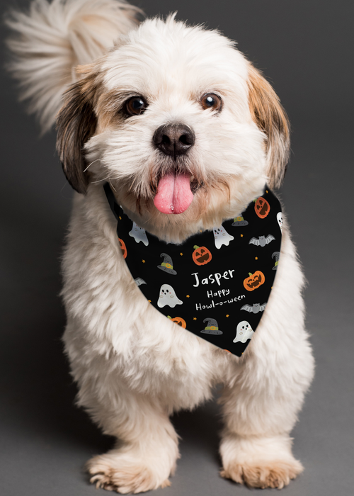 Personalised Memento Company Black Halloween Dog Bandana - One Size Image 4