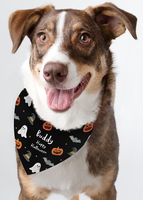 Personalised Memento Company Black Halloween Dog Bandana - One Size Image 3