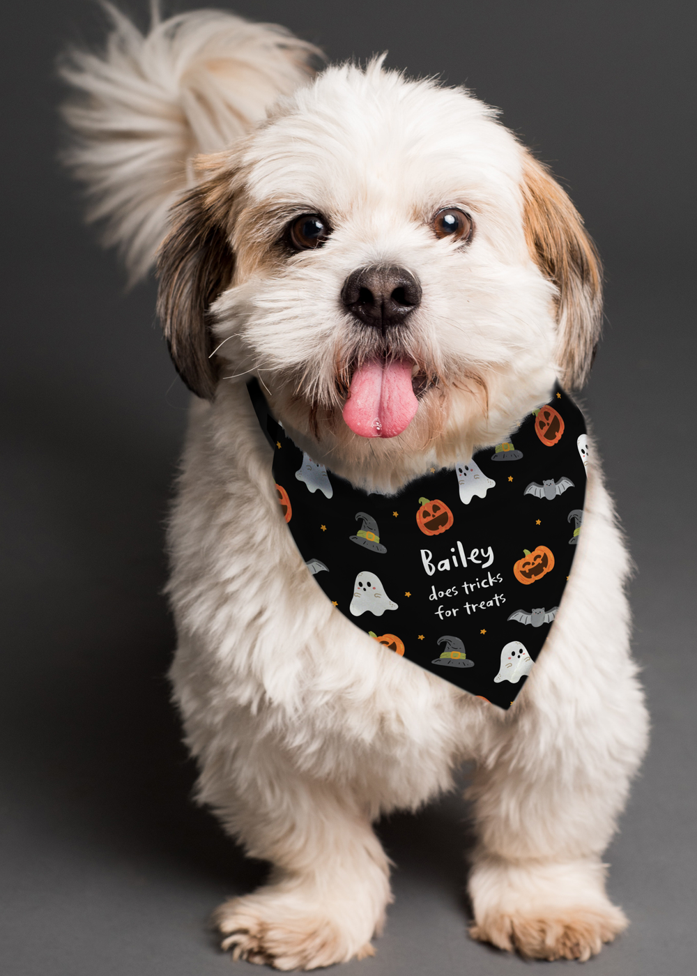 Personalised Memento Company Black Halloween Dog Bandana - One Size Image 2