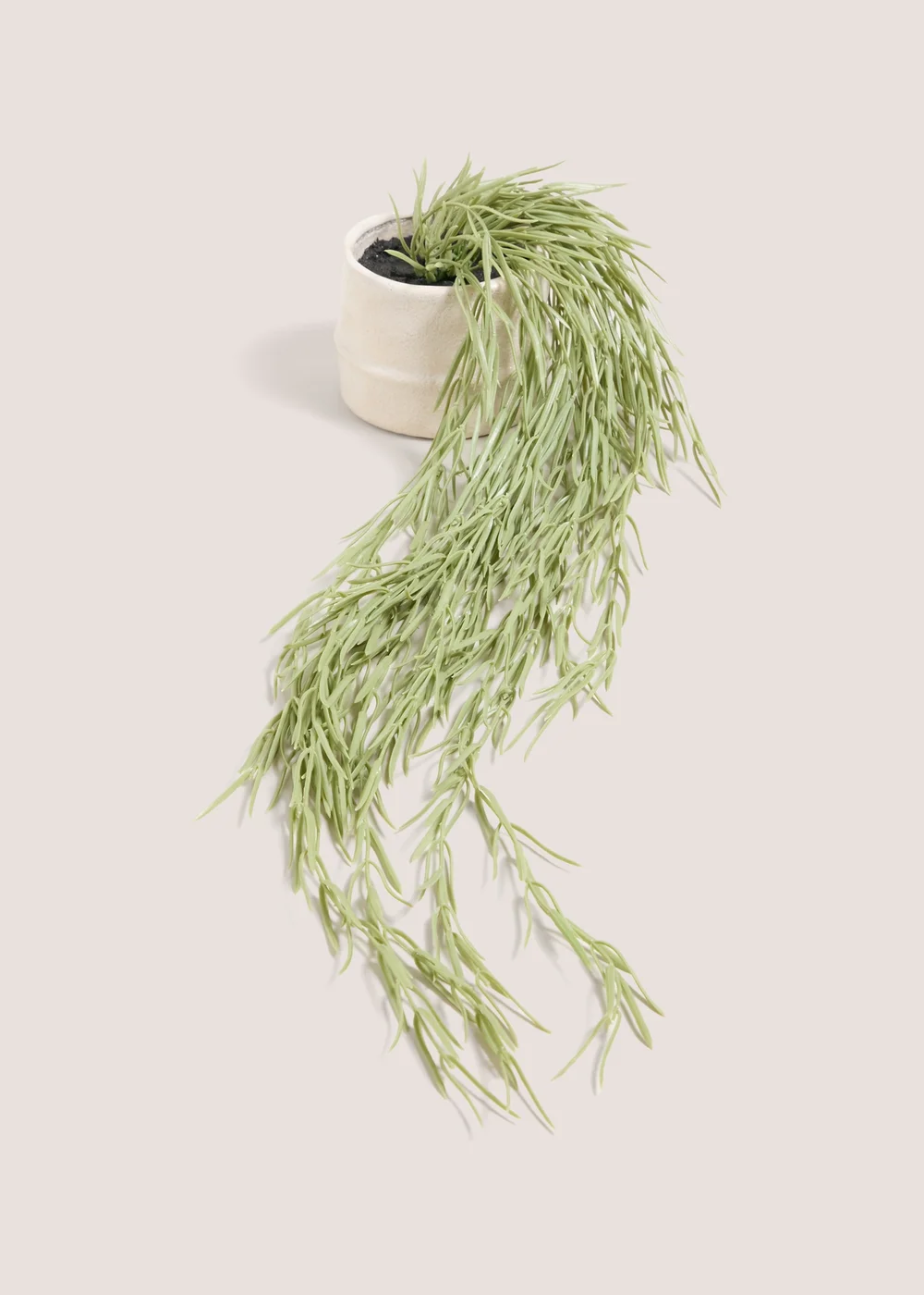 Cabana Trailing Plant Image 1