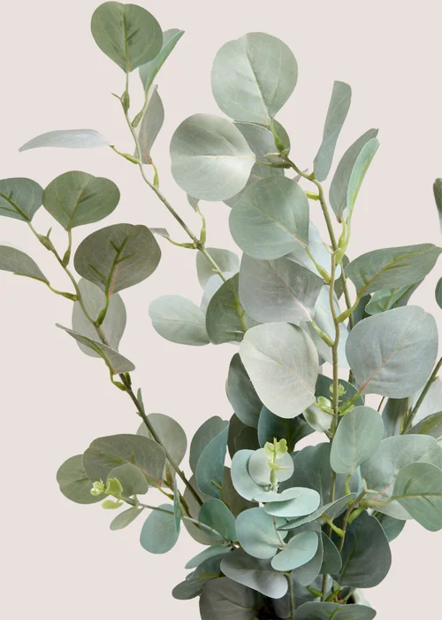 Eucalyptus in Bobble Vase Image 2