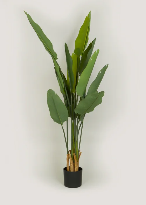 Green Banana Tree Image 1